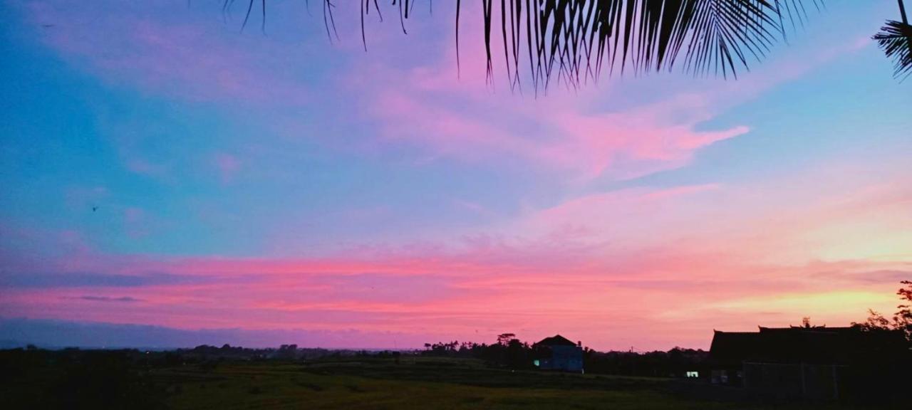 37 Sunset Village Bali Canggu Buitenkant foto