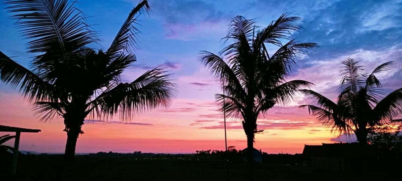 37 Sunset Village Bali Canggu Buitenkant foto